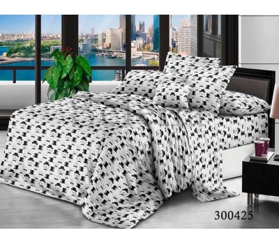 Комплект постельного белья "Шляпы" 300425
